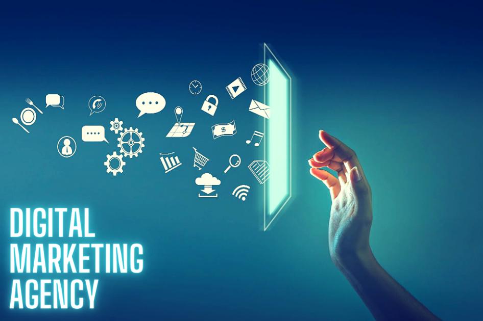 digital marketing agency in Northern Beaches